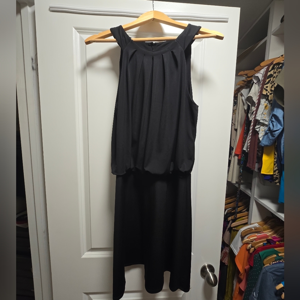 White House | Black Market dress - Picture 11 of 11